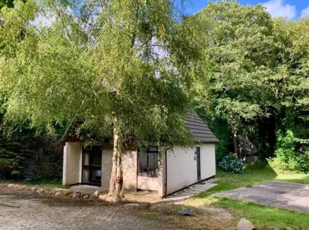 St Ives Bluebell Cottage Экстерьер фото